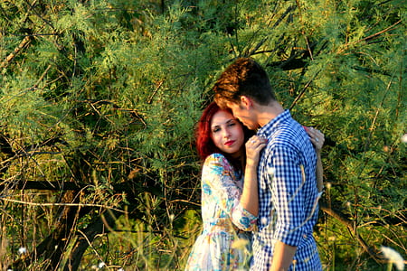 woman embracing man beside trees thumbnail