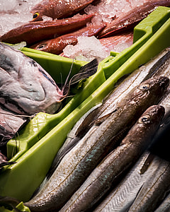Fish, Market thumbnail