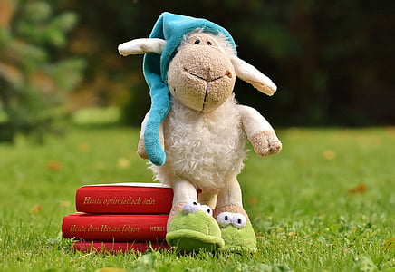 shallow depth of field photo of brown sheep plush toy sitting on red books thumbnail