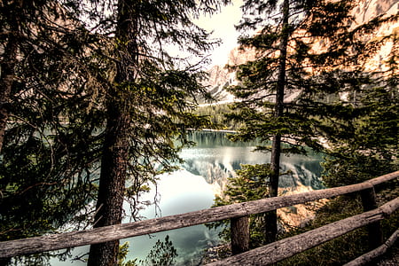 landscape, nature, water, forest thumbnail