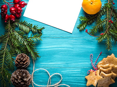 holiday, vacation, winter, leaves thumbnail