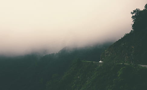 Mountain Surrounded by Trees Covered by Fog thumbnail