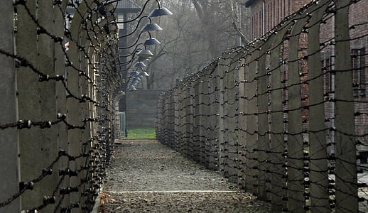 gray barbwire fence with street light during daytime thumbnail