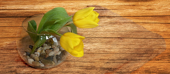 yellow tulip flowers in glass vase thumbnail