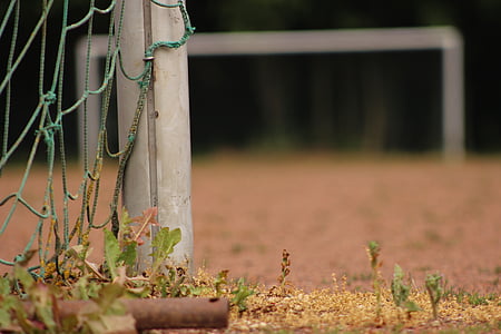 green plants during daytime thumbnail
