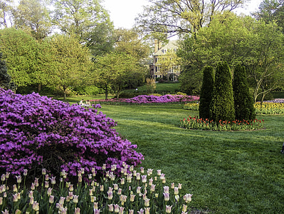 Sherwood Gardens in Baltimore, Maryland thumbnail