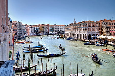 Body of Water With People Rowring on Boat Beside Tall Building thumbnail