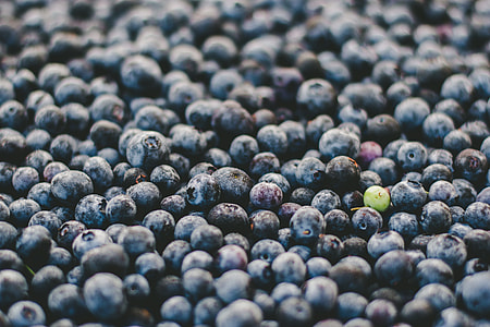 close up photography of blueberries thumbnail