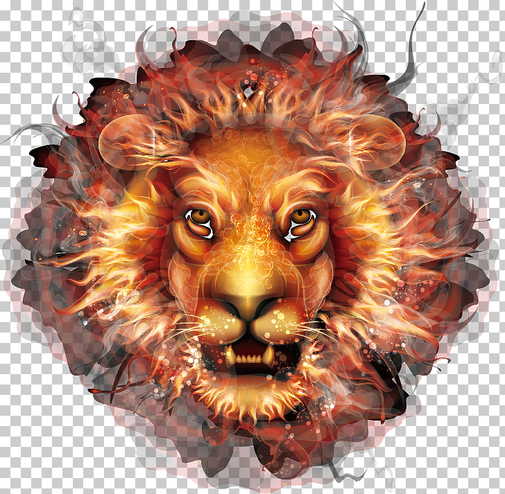T Shirt Amazon Com Lion Wrestling Singlet Child Cool Lion