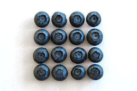 sixteen blueberries thumbnail
