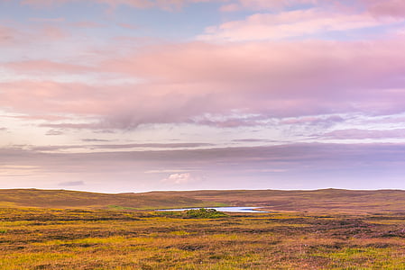 landscape photography of green plains thumbnail