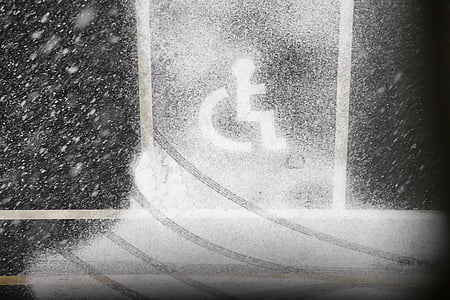 persons with disability logo thumbnail