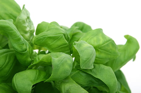 green leaved veggies thumbnail
