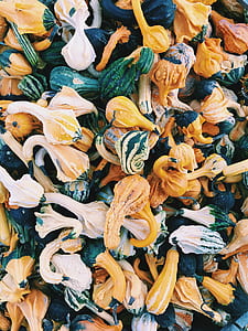 vegetables thumbnail