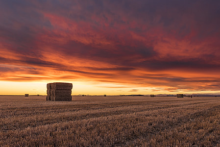 photography of stack of hay at daytime thumbnail