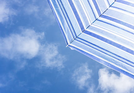 Photo of White and Black Umbrella thumbnail