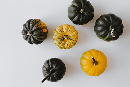 Small yellow and dark green pumpkins on a white background thumbnail