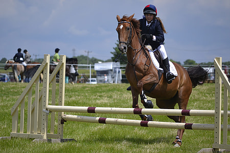 girl riding brown horse while hopping on obstacle course thumbnail