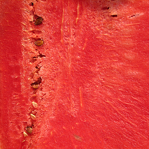 melon fruit thumbnail