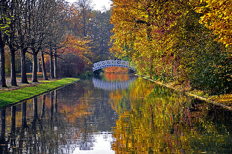 white bridge over river between trees thumbnail