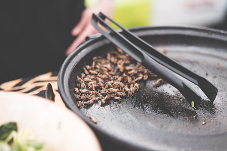 Fried Insects Beetles Traditional Exotic Asian Food thumbnail