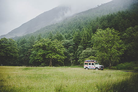 white SUV on green grass field thumbnail