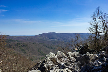 Landscape view of Shenandoah thumbnail