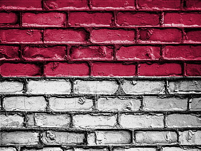 red and gray wall brick in close-up photo thumbnail