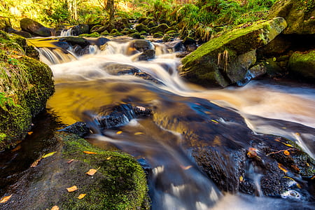 body of water surrounded with grass thumbnail