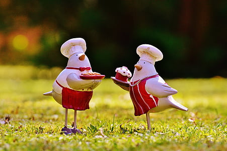 two bird chefs digital wallpaper thumbnail