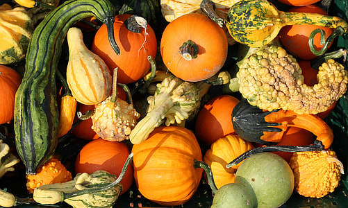 variety of vegetables thumbnail