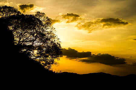 light, dawn, landscape, nature thumbnail