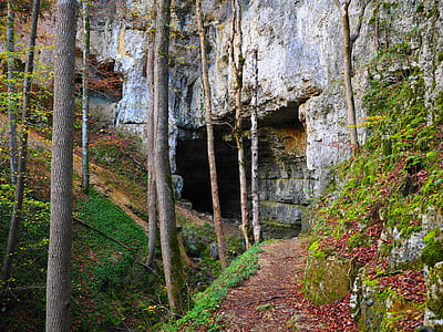 cave beside trees thumbnail