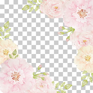 Pink flowers Beach rose , Flowers borders, pink and beige flower border PNG clipart