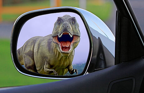 vehicle side mirror showing dinosaur thumbnail