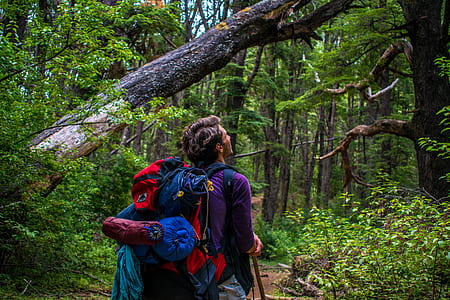 man walking on forest at daytime thumbnail