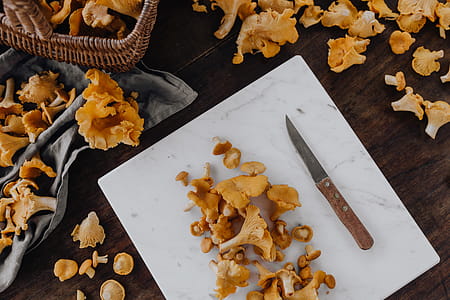 Picking mushrooms chantarelle in the woods thumbnail