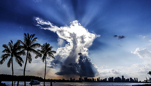 three green coconut palm trees near blue body of water under white clouds and blue sky thumbnail