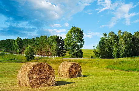 photo of brown hay near grass thumbnail