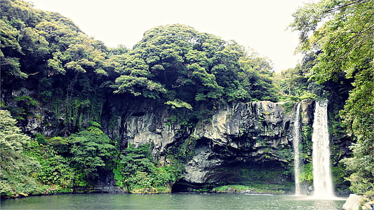 waterfalls surrounded with trees at daytime thumbnail