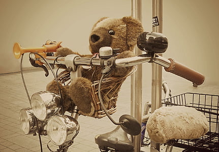 brown bear plush toy in bicycle basket thumbnail