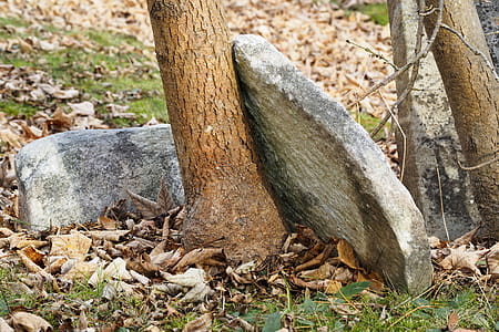 Old cemetery gravestones. thumbnail