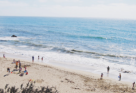 people on beach during day time thumbnail