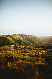 landscape photography of green grass field thumbnail