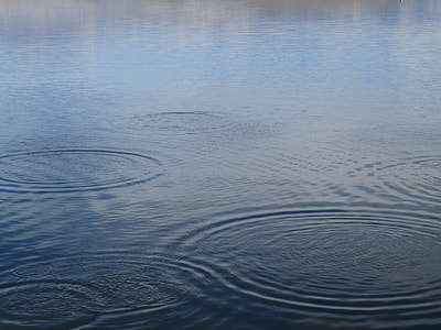 body of water during daytime thumbnail