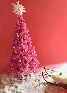 pink palm tree inside room thumbnail