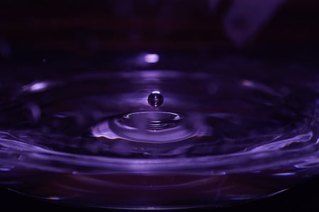 macro photography of water drop thumbnail