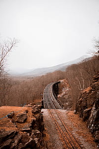 railway surrounded with bare forest thumbnail