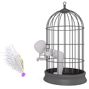 person inside birdcage themed illustration thumbnail