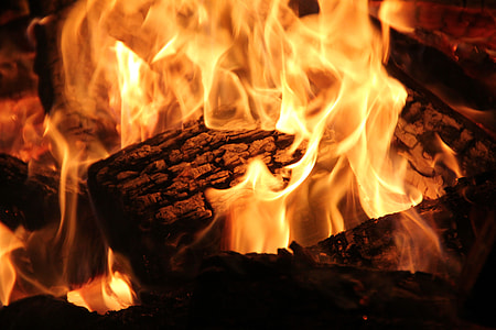 close-up photography of brown woods with fire thumbnail